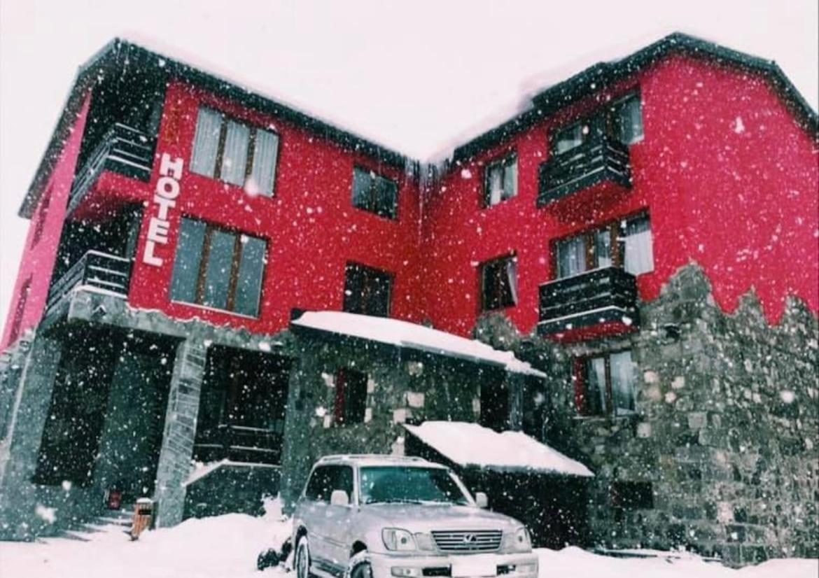 ホテル Red House バクリアニ エクステリア 写真